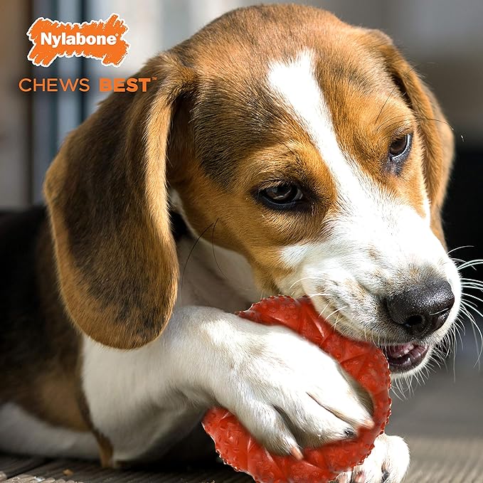 Nylabone Braided Ring Strong Chew Toy for Dogs, Natural Rubber Dog Toy for Moderate & Aggressive Chewers, Beef Flavor, Medium Dogs - Up to 35 lbs, 1 Count