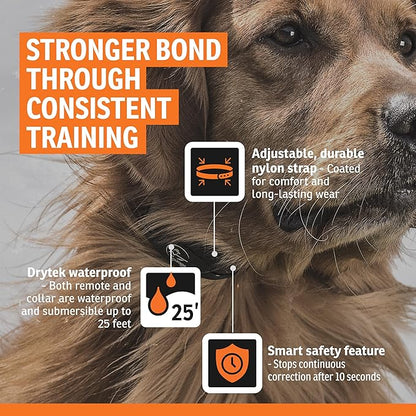 SportDOG Brand® YardTrainer 100S Remote Trainer - Shock Collar for Stubborn Dogs - Train with Tone, vibrate, or Static