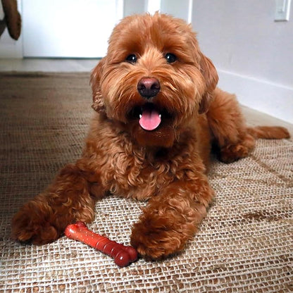Nylabone Textured Bone Power Chew Toy for Dogs, Durable & Tough Dog Toys for Aggressive Chewers, Beef Jerky Flavor, X-Small Dogs - Up to 15 lbs, 1 Count
