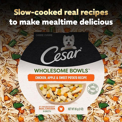 Cesar Wholesome Bowls Adult Wet Dog Food, Chicken, Apple & Sweet Potato Recipe, Wet Food for Dogs, 3 oz. Bowls, 10 Count