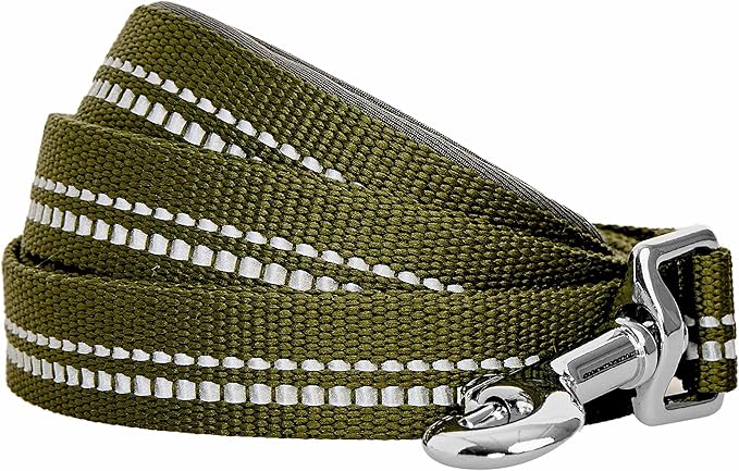 Blueberry Pet 3M Reflective Pastel Color Dog Leash with Soft & Comfortable Handle, 5 ft x 3/4", Olive Green, Medium, Leashes for Dogs