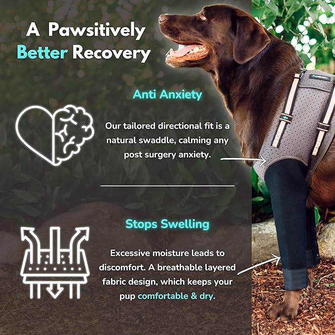 Dog Cone Alternative - Leg Sleeve to Stop Licking, Hot Spot Recovery, Wound & Elbow Protector, Hygroma Treatment, Reduce Stress & Anxiety, Waterproof & Breathable, Post-Surgery Suit (Small)
