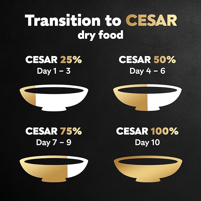 Cesar Small Breed Dry Dog Food for Small Dogs,Rotisserie Chicken Flavor and Spring Vegetables Garnish,12 lb Bag,(Pack of 2)