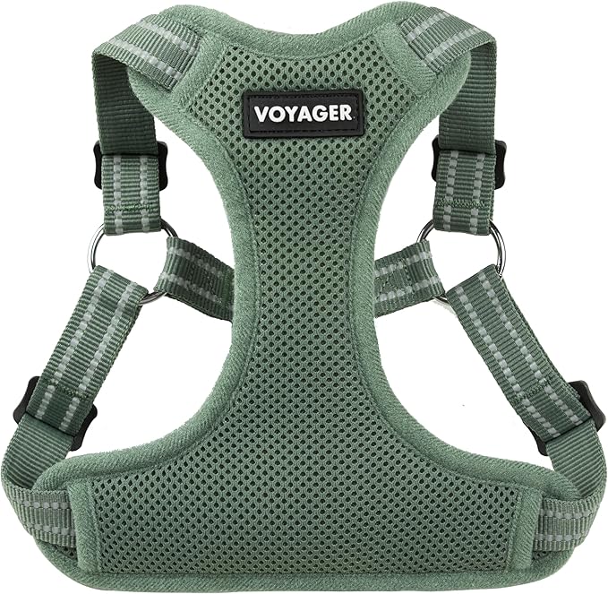 Best Pet Supplies Voyager Adjustable Step-in Flex Breathable Mesh Dog Harness for Small Medium Large Dogs Moss Green, XL