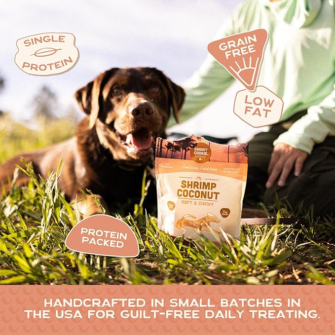 Smart Cookie All Natural Soft Dog Treats - Shrimp & Coconut - Healthy Dog Treats for Allergies, Sensitive Stomachs - Chewy, Grain Free, Human-Grade, Made in The USA - 5oz Bag, 1 Pack