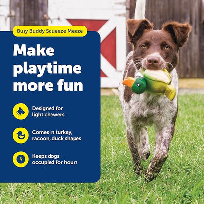 PetSafe Busy Buddy Latex Squeeze Meeze Raccoon, Fun Squeeze Dog Toy with Squeaker - Duck