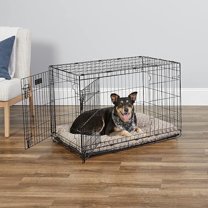 MidWest Homes for Pets 36-Inch iCrate for Medium-Large Breeds, 41-70 lbs, Double Door Folding Dog Crate with Divider Panel, Leak-Proof Tray & Secure Latches, Portable, Durable & Easy to Assemble