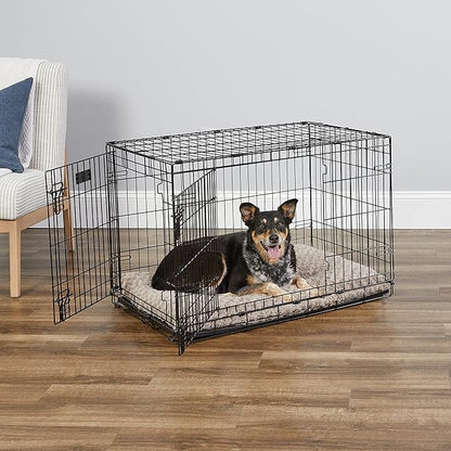 MidWest Homes for Pets 36-Inch iCrate for Medium-Large Breeds, 41-70 lbs, Double Door Folding Dog Crate with Divider Panel, Leak-Proof Tray & Secure Latches, Portable, Durable & Easy to Assemble