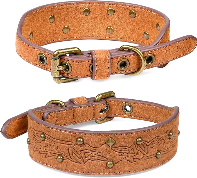 Blueberry Pet Premium Embossed Silver-Powered Freshness Microfiber Suede Leather Dog Collar in Saddle Brown