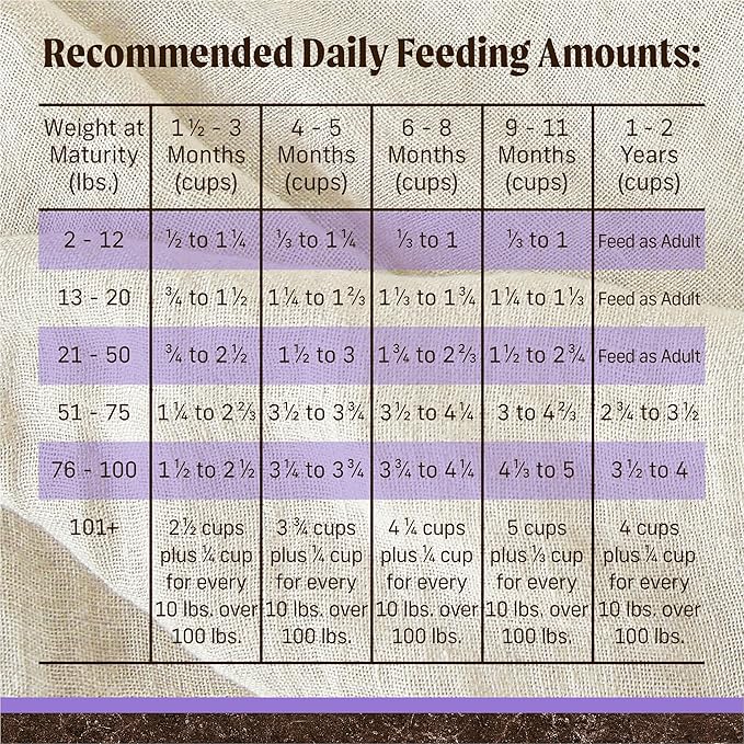 Merrick Premium Grain Free Dry Puppy Food, Wholesome and Natural Kibble with Real Chicken and Sweet Potato - 10.0 lb. Bag