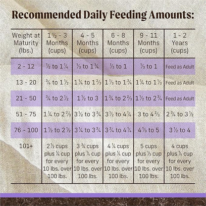 Merrick Premium Grain Free Dry Puppy Food, Wholesome and Natural Kibble with Real Chicken and Sweet Potato - 10.0 lb. Bag