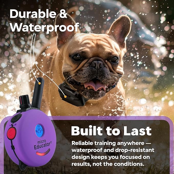 Educator ME-300 Micro E Collar for Dog Training with Remote - 1/3 Mile Range, Waterproof, 100 Blunt Stimulation Levels, Tone or Vibration Mode, Night Tracking Light for Small, Medium & Large Dogs