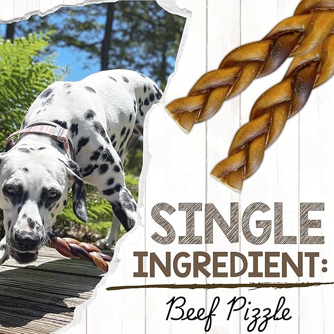 Nature Gnaws Braided Bully Sticks for Dogs 11-12" (5 Count) - Long Lasting for Aggressive Chewers and Large Dogs - Natural Beef Dog Chew Bones