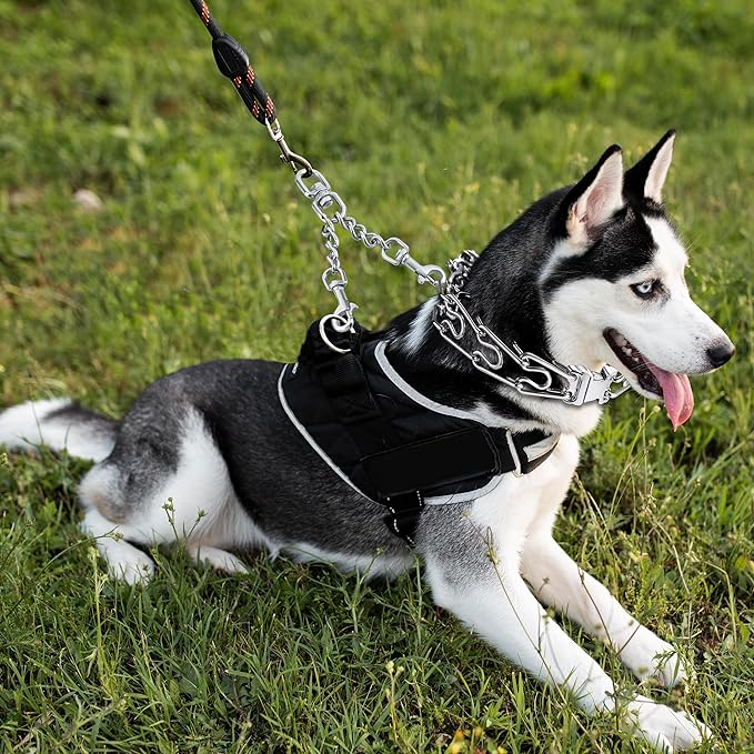Prong Collar Safety Clip Stainless Steel Dog Safety Clip, Leash Backup with Dual Clasps, Collars and No Pull Harness Connectors