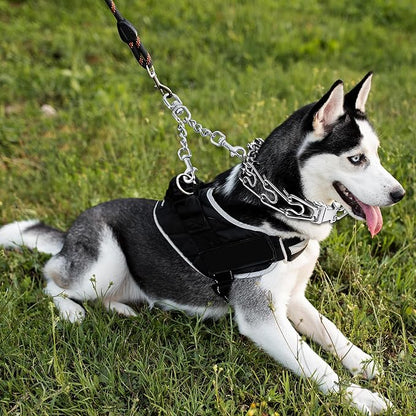 Prong Collar Safety Clip Stainless Steel Dog Safety Clip, Leash Backup with Dual Clasps, Collars and No Pull Harness Connectors