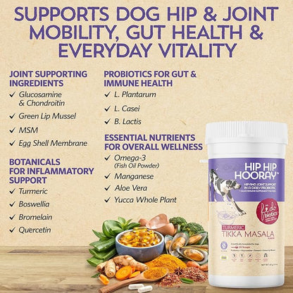 Fidobiotics Hip & Joint Support for Dogs with Probiotics – Glucosamine, Chondroitin, MSM & Green Lipped Mussel – Dog Joint Supplement Powder Food Topper for Mobility & Digestion (20 Servings)