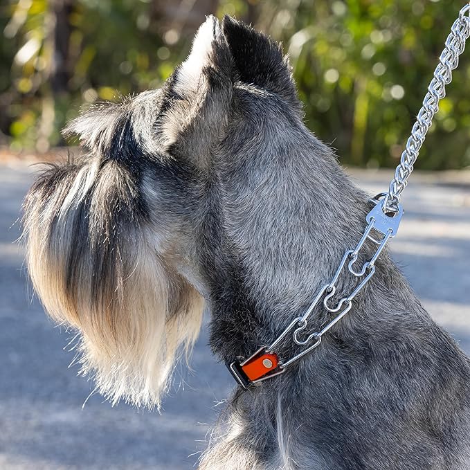 Herm Sprenger Chrome Plated Steel Dog Collar with Quick Release ClicLock Buckle and Biothane Insert Training Collar for Dogs Made in Germany (Hunter Orange, 23in x 3.2mm(Neck Size up to19-20in))