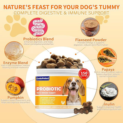Probiotics for Dogs - 6 Digestive Probiotics & 6 Enzymes for Itchy Skin,Digestion & Gut Support,Helps Diarrhea, Yeast Infection, Upset Stomach,Allergies & Immune System Support-150 Chews