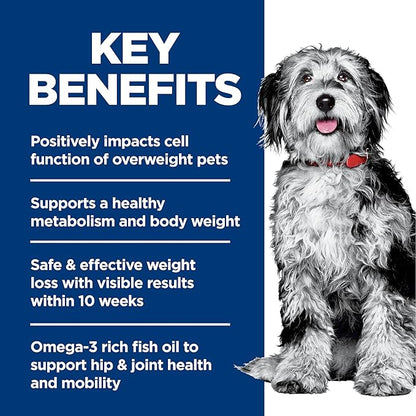Hill's Science Diet Perfect Weight & Joint Support, Adult 1-6, Weight Management & Joint Support, Dry Dog Food, Chicken & Brown Rice, 3.5 lb Bag