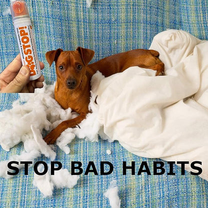 Dog Stop! - Stop Barking, Jumping, Chasing, Fighting, Scratching, Chewing, Biting & More! Safe, Humane, Effective Pet Behavior Correcting and Training Tool