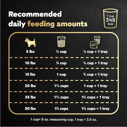 Cesar Small Breed Dry Dog Food for Small Dogs,Rotisserie Chicken Flavor and Spring Vegetables Garnish,12 lb Bag,(Pack of 2)