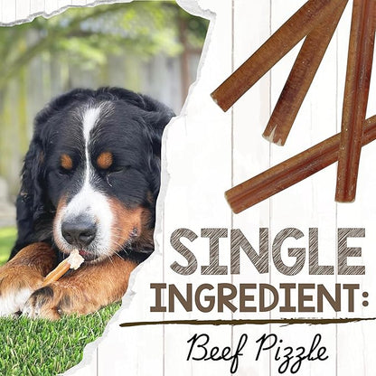 Nature Gnaws Large Bully Sticks for Dogs 5-6" (10 Count) - Thick Long Lasting for Aggressive Chewers and Large Dogs - Natural Beef Dog Chew Bones