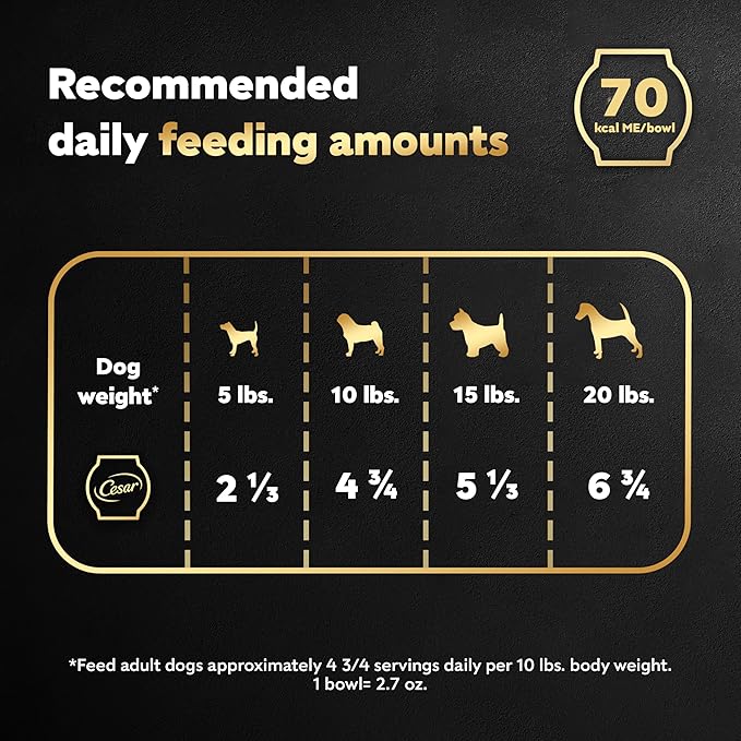 Cesar Warm Bowls Wet Dog Food Chicken & Beef Entrée with Vegetables & a Hint of Cranberry in Broth, Wet Food for Dogs, 2.7 oz Bowls, 10 Count