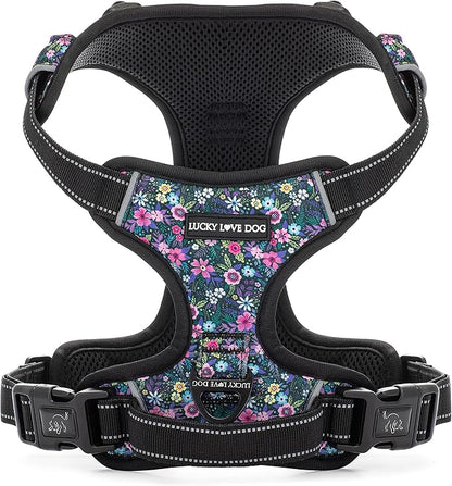 Lucky Love Dog No Pull Dog Harness, Adjustable and Easy to Walk, Cute Patterned Harness for Small Male & Female Dogs - Primrose, XS