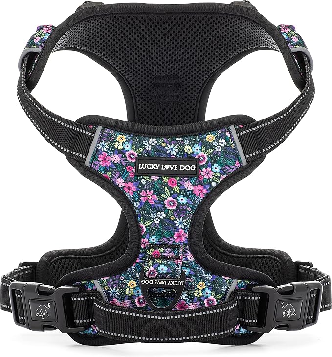 Lucky Love Dog No Pull Dog Harness, Adjustable and Easy to Walk, Cute Patterned Harness for SmallMale & Female Dogs - Primrose, Small