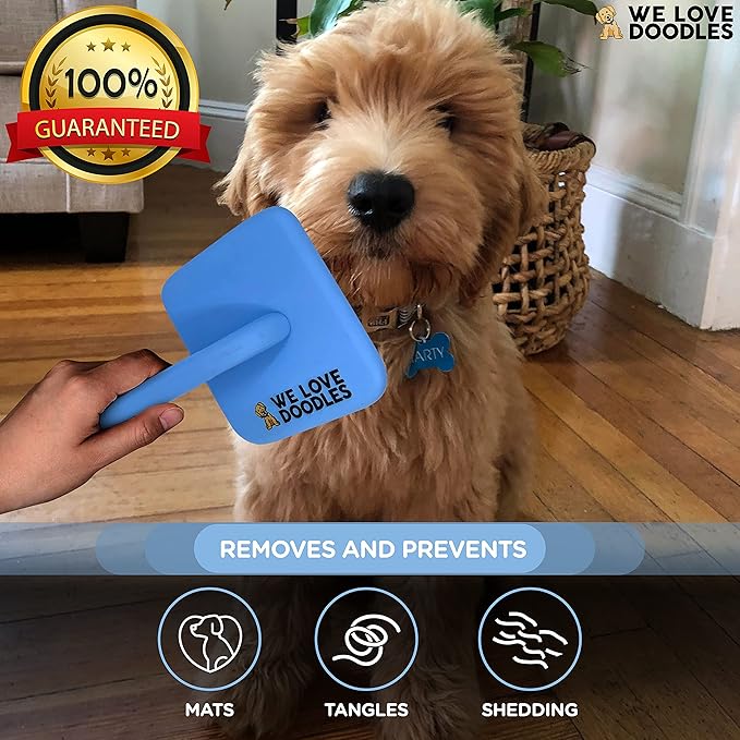 Slicker Brush for Dogs, Dog Grooming Supplies - Best Doodle & Poodle Brush for Haired Dogs - Goldendoodle Pin Detangler for Dematting (Large Curved)