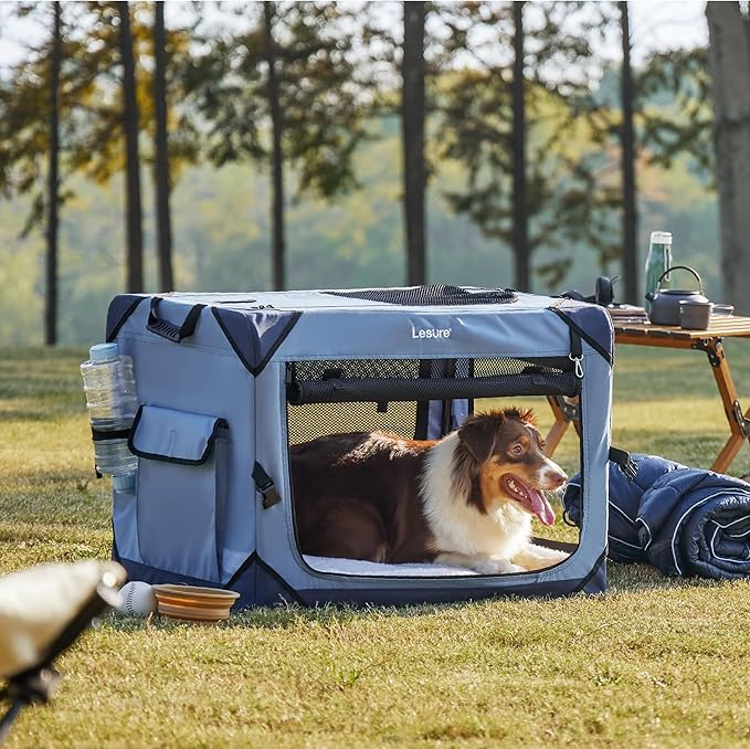 Lesure Collapsible Dog Crate - Portable Travel Kennel for Medium Dog, 4-Door Pet Crate with Mesh Windows, Indoor & Outdoor, Blue