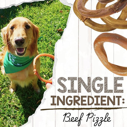 Nature Gnaws Bully Stick Rings for Dogs (5 Count) - Long Lasting for Aggressive Chewers - Natural Beef Dog Chew Bones - Rawhide Free