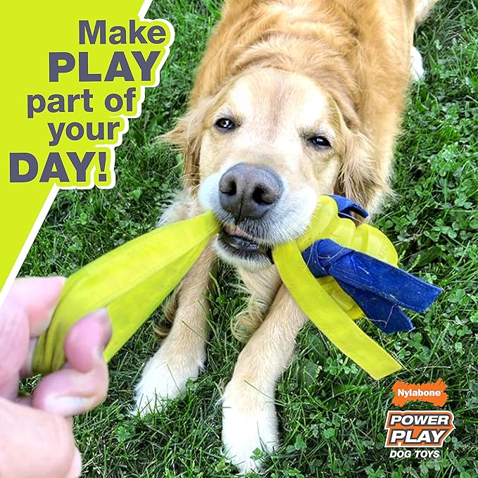 Nylabone Power Play Gripz Felt Basketball Rubber Fetch Toy, Squeaky Ball for Dogs, Medium (1 Count)