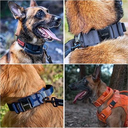 OneTigris Tough Dog Collars, Tactical Dog Collar with Handle, Milltary Adjustable Dog Collar with Heavy Duty Metal Buckle for Training (Medium(Pack of 1), Orange)