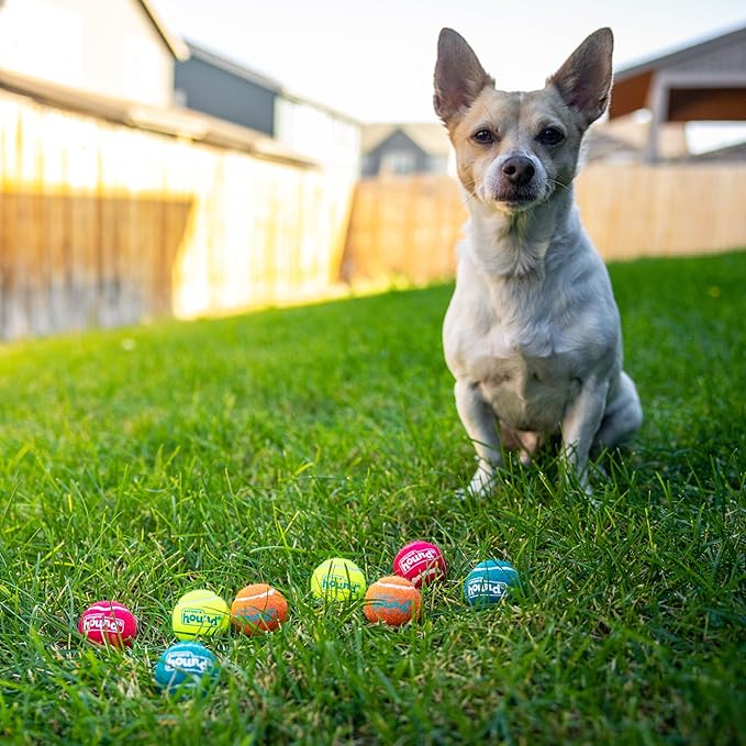 Outward Hound Squeaker Ballz – Squeaky Tennis Balls for Dogs Under 25 lbs, Interactive Dog Toy for Fetch & Training, Small (2"), 8‑Pack
