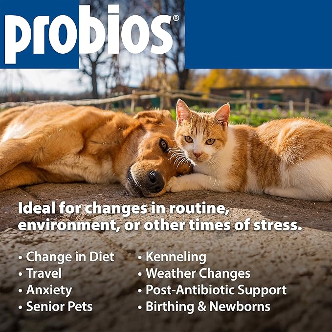 Probios Chewable Tablets for Dogs, Daily Probiotic Supplment for Gut Health, Digestion & Immune Support, 45 Count (Pack of 2)