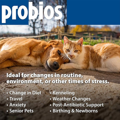 Probios Chewable Tablets for Dogs, Daily Probiotic Supplment for Gut Health, Digestion & Immune Support, 45 Count (Pack of 2)