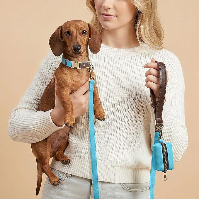 Didog Soft PU Leather Dog Collars for Small Dogs,Classic Adjustable Dog Collars with Quick Release Metal Buckle,Easy Clean and Comfortable with Nylon Lining,Light Blue,S Neck 11-15"