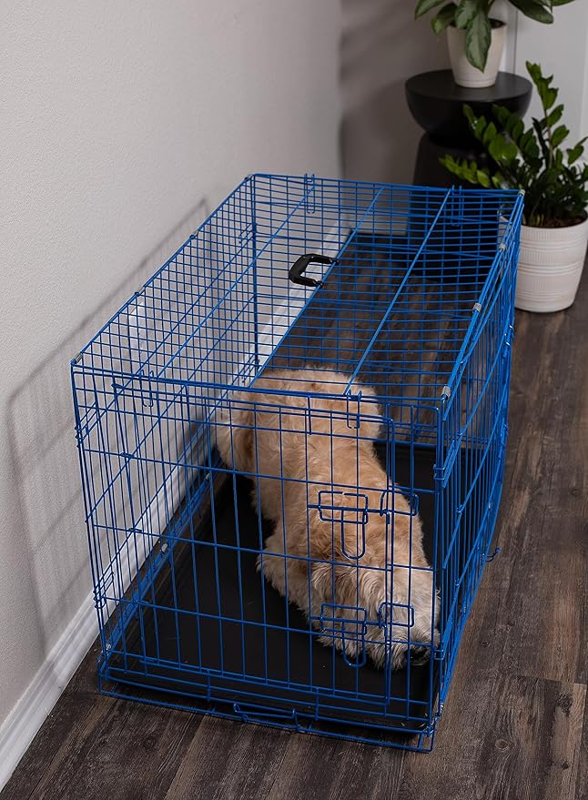 Internet's Best Wire Dog Kennel | Medium (36 Inches) | Double Door Metal Steel Crates | Indoor Outdoor Pet Home | Folding and Collapsible Cage | Blue