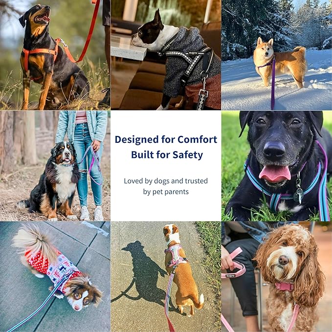 Blueberry Pet 3M Reflective Pastel Color Dog Leash with Soft & Comfortable Handle, 4 ft x 1", Red, Large, Leashes for Dogs