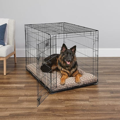 MidWest Homes for Pets 48-Inch iCrate for Extra-Large Breeds, 90-110 lbs, Single Door Folding Dog Crate with Divider Panel, Leak-Proof Tray & Secure Latches, Portable, Durable & Easy to Assemble