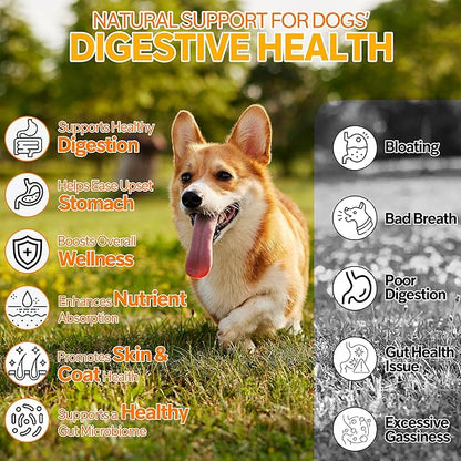 Probiotics for Dogs,6 Digestive Probiotics & 6 Enzymes for Gut Health,Digestion & Gut Support,Helps Diarrhea, Yeast Infection, Upset Stomach,Allergies & Immune System Suppor-300Chews