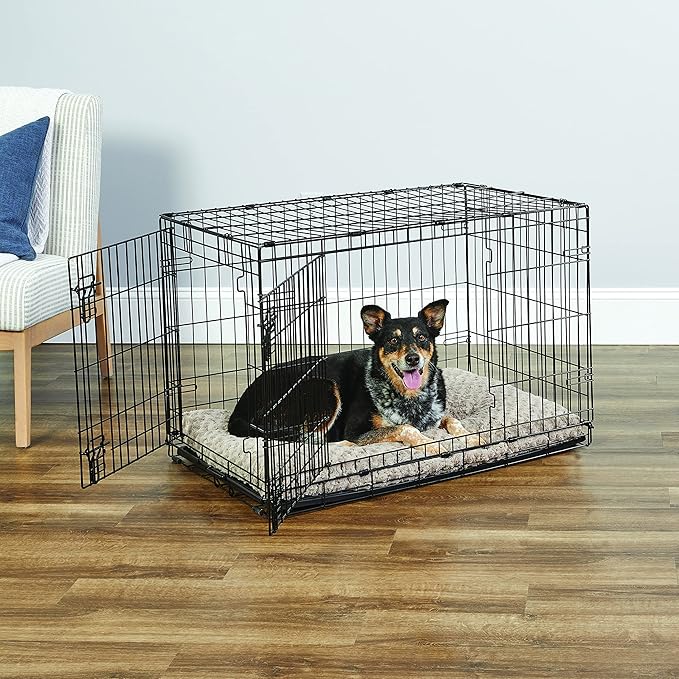 Midwest Homes for Pets 36-Inch New World Crate for Medium-Large Breeds, 41-70 lbs, Double Door Folding Dog Crate, Leak-Proof Tray & Secure Latches, Portable, Durable & Easy to Assemble
