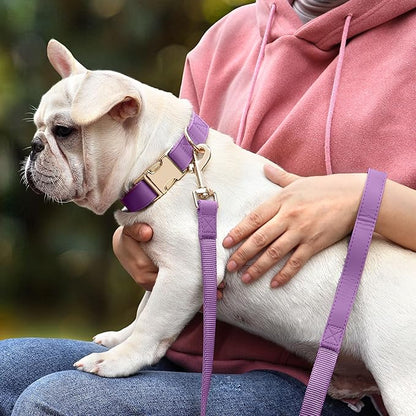 PET ARTIST Soft PU Leather Dog Collar and Leash Set, Bright & Stylish 5FT PU Leather Leash and Collar Set, Durable Pet Collars with Quick Release Metal Buckle for Small Dogs,Purple,S(9"-14")