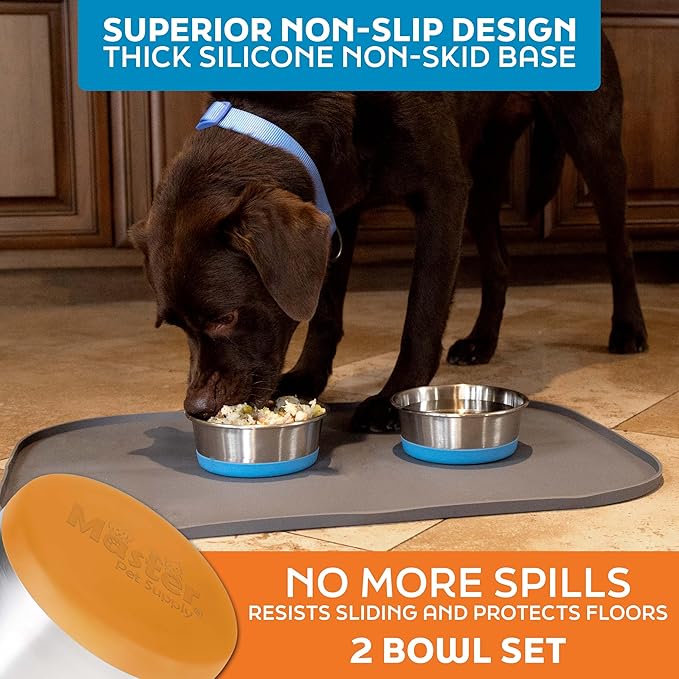 Master Pet Supply Stainless Steel Dog Bowls Set of 2 with Extra Thick Silicone Base - 4 Cup (32 oz) Mango Tango, Non-Slip, Dishwasher Safe Metal Bowls, Pet Dog Food Bowl for Dogs, Cats, Anti Rust