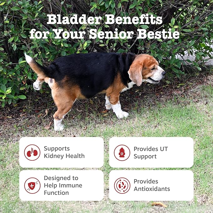 Zesty Paws Senior Cranberry Supplement for Dogs - Bladder Control for Senior Dogs - Urinary Tract Support - Cranberry Chews - Immune & Gut Support - Chicken - 90 Count