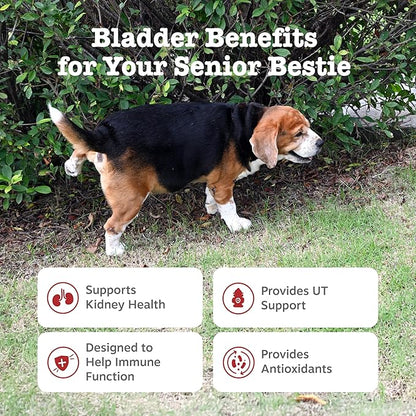 Zesty Paws Senior Cranberry Supplement for Dogs - Bladder Control for Senior Dogs - Urinary Tract Support - Cranberry Chews - Immune & Gut Support - Chicken - 90 Count