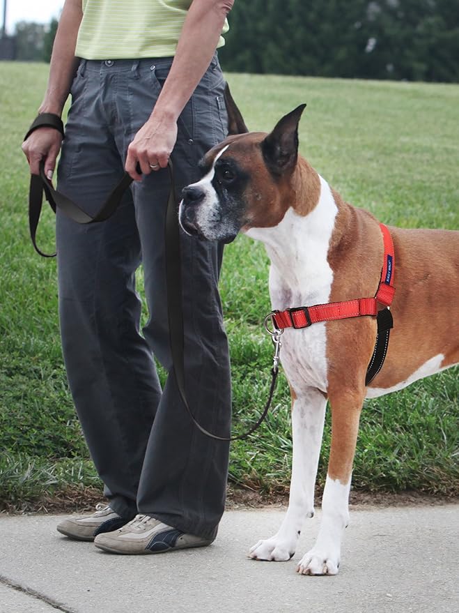 PetSafe Deluxe Easy Walk Harness - Trainer-Trusted Dog Chest Harness with Breathable Martingale Loop Design - Helps Stop Pulling with No Choking & Gagging - Small - Rose