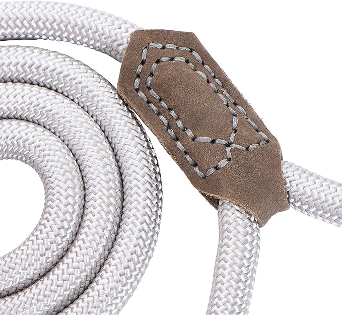 Mile High Life | Premium Leather Dog Leash | Strong Rope Leash | Leather Handle | Zinc Alloy Strong Clasp | Small Medium Large Dogs | 4/5/6 Feet(Sliver, 60 Inch (Pack of 1))