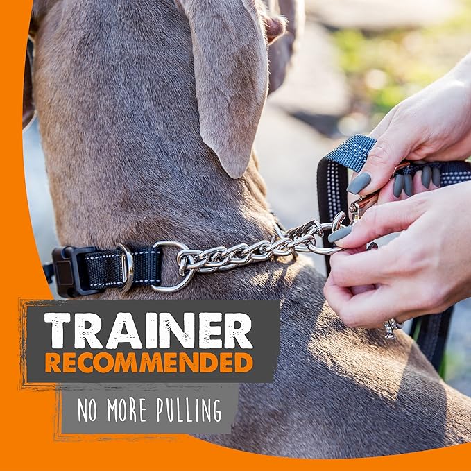 Mighty Paw Martingale Collar with Buckle | Training Dog Collar, Limited Cinch Chain Pet Gear for No Pull Dog Walking. Martingale Dog Collars for Large Dogs, Medium Breeds and Small Pets